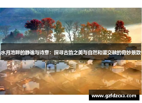 水月池畔的静谧与诗意：探寻古韵之美与自然和谐交融的奇妙景致